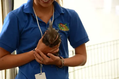 DSC_2300 (Large).JPG